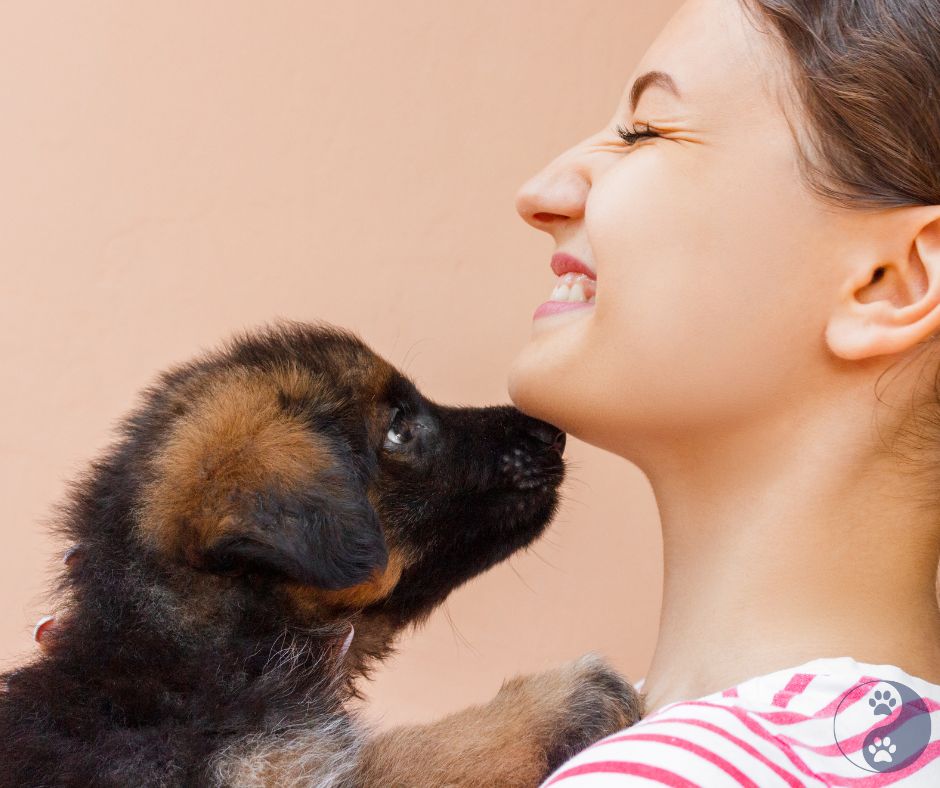 Healthy puppy with responsible breeder showing genetic health testing and proper breeding practices for canine wellness