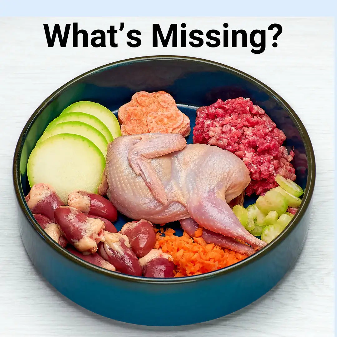 The Essential Herbs and Minerals to Boost Your Dog’s Fresh Food Diet for Optimal Spinal Health