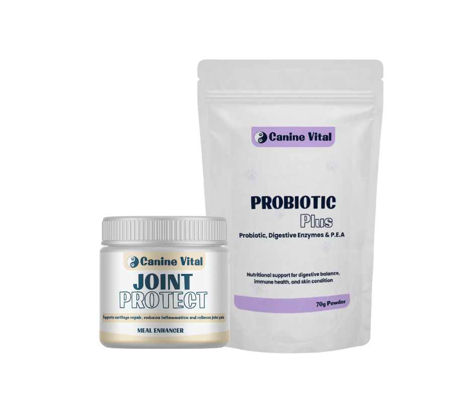 Canine Vital Joint Protect & Probiotic Plus bundle