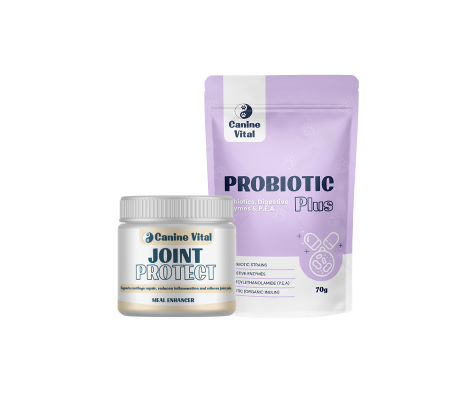 Joint Protect & Probiotic Plus bundle