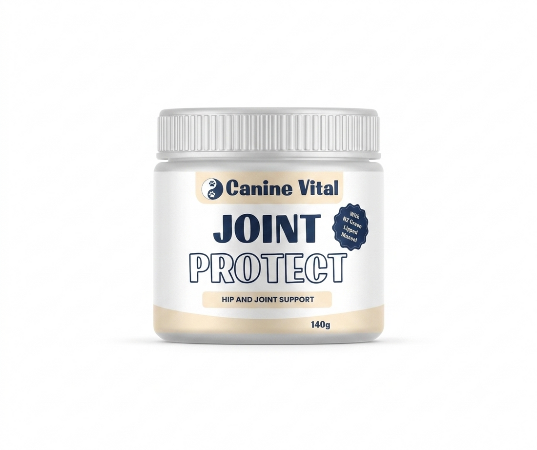 Joint Protect - 8-in-1 Natural Joint Supplement for Dogs | Hip & Joint Support