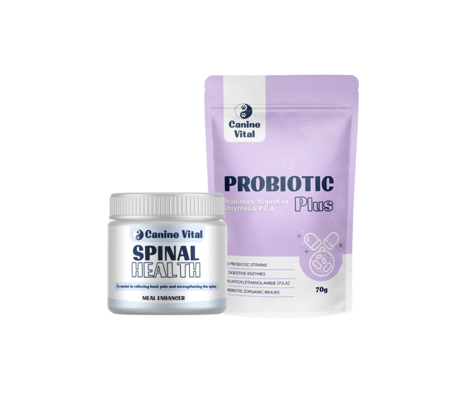 Spinal Health & Probiotic Plus bundle
