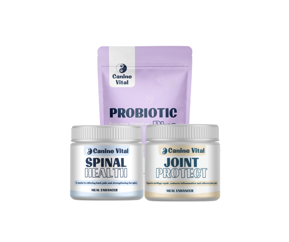 Essential Care Bundle - Spinal Health, Joint Protect & Probiotic Plus