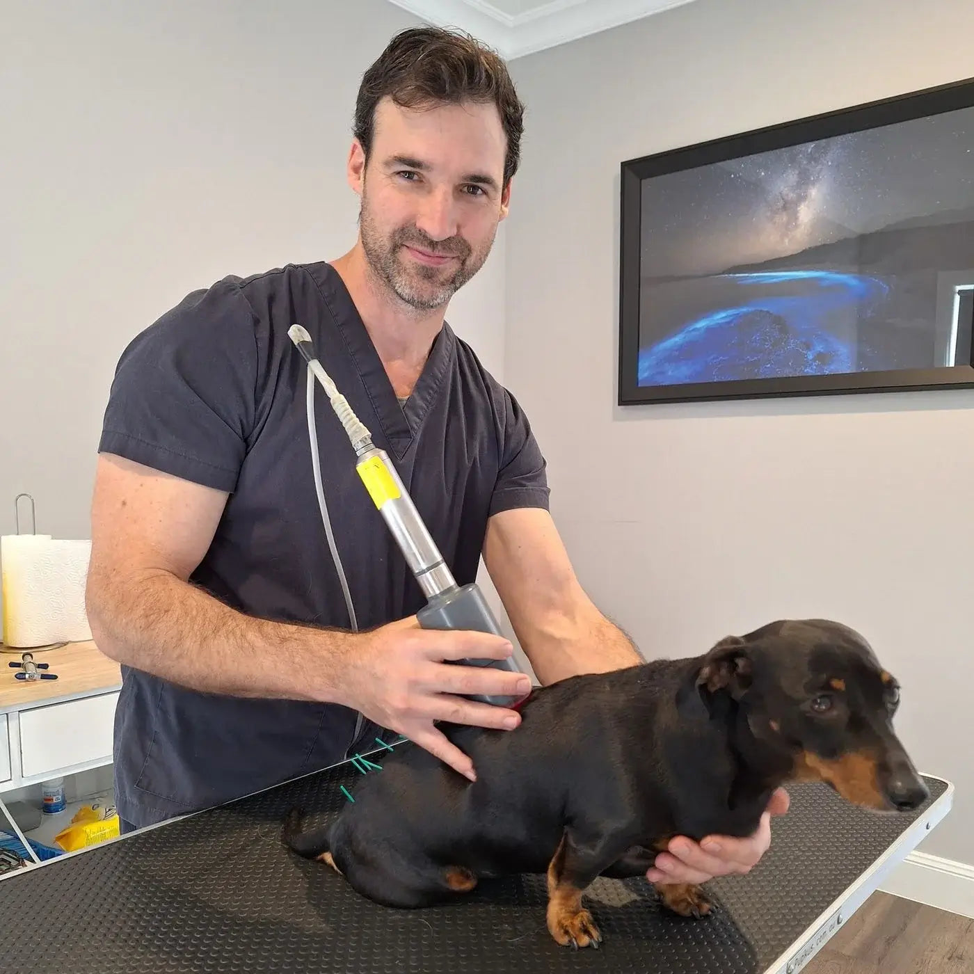 Dr. Neil Barnsley BAppSc TCM, GradDip Vet Acu, CVCP.