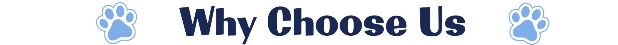 Why Choose Us
